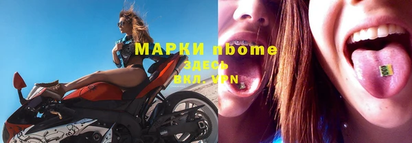 гидра Вязьма