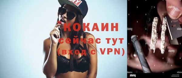 крисы Алзамай