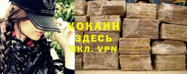 крисы Алзамай