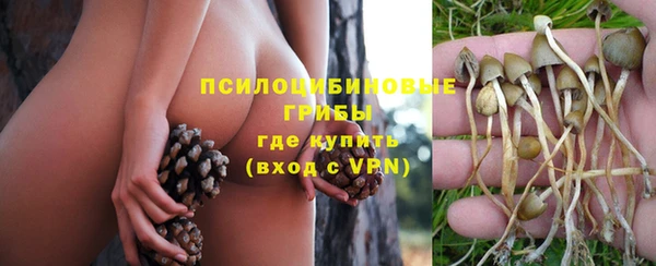 индика Алексеевка